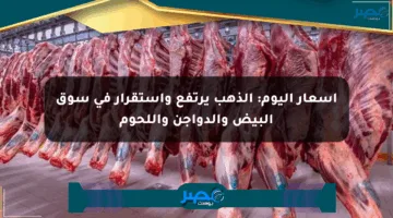 أسعار اليوم: الذهب يرتفع واستقرار في سوق البيض والدواجن واللحوم